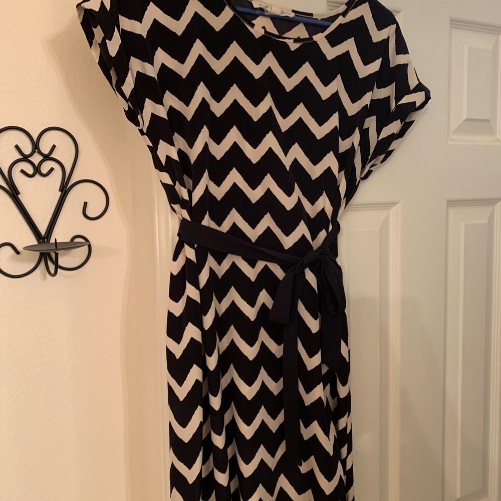 Pink Rose Black and White Swing Dress